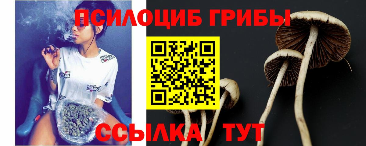 Псилоцибиновые грибы ЛСД  Вход с VPN  Галлюциногенные грибы Psilocybine cubensis  Пенза 